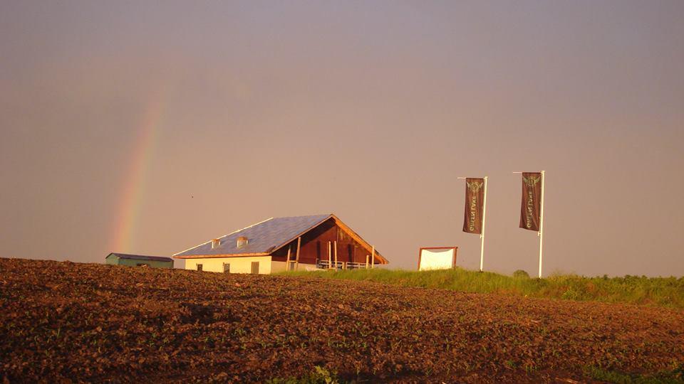 chiroiu 4 - 1456051583879261665163394964106n.jpg